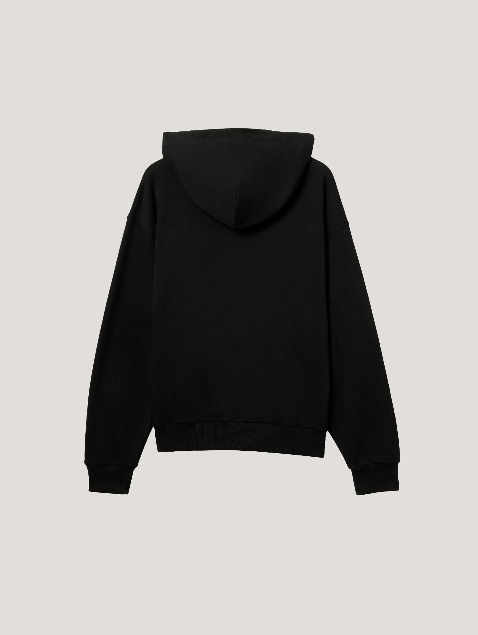 Pa X Everlast Regular Hoodie